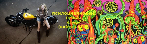 СК Михайловка