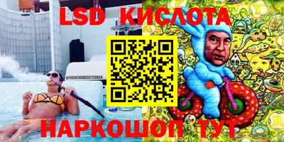 прущие крисы Бийск