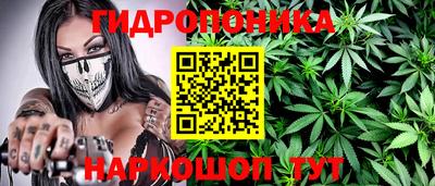 прущие крисы Бийск