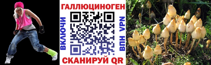 Галлюциногенные грибы Psilocybe  Кузнецк 