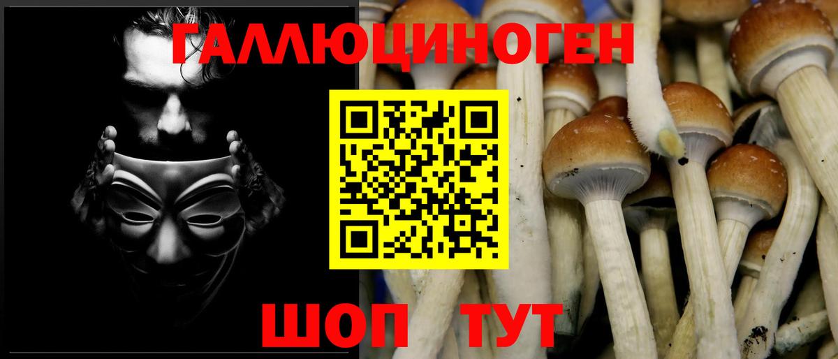 Псилоцибиновые грибы ЛСД Кузнецк